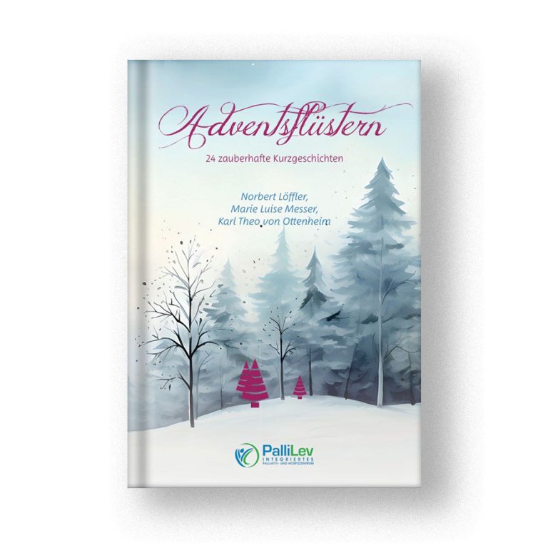 manvira-verlag-adventsfluestern-cover